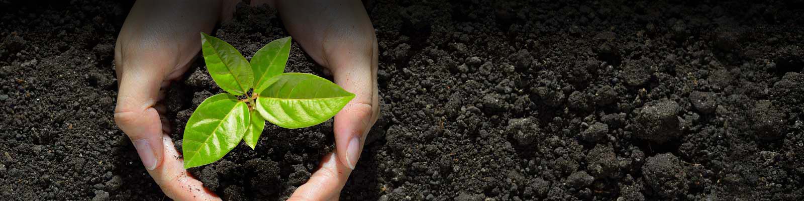 Salud y seguridad ambiental