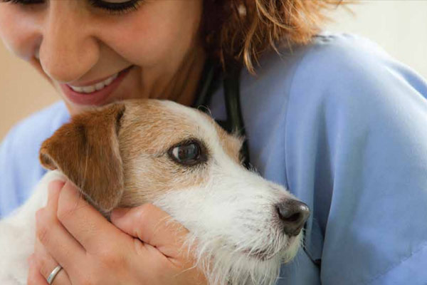 Sistema Vita Flex CR per veterinari