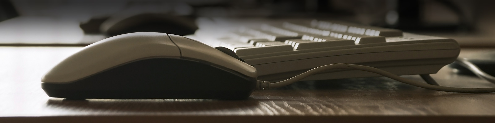 Treinamento do cliente